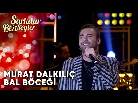 Bal Böceği - Murat Dalkılıç | Şarkılar Bizi Söyler | Performans