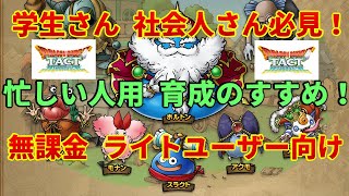 【ドラクエタクト】学生 社会人 忙しい人必見！無課金 ライトユーザー向け育成のすすめ【ドラゴンクエストタクト】