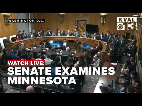 Senate Homeland Security panel holds oversight hearing with Minnesota, immigration officers