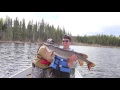 Video Thumbnail for Besnard Lake Fishing Trip