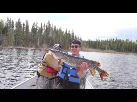Video Thumbnail for Besnard Lake Fishing Trip