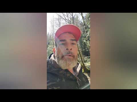 Quartzville/Galena creek 3:17:21 #QUARTZVILLECREEKGOLDPROSPECTING