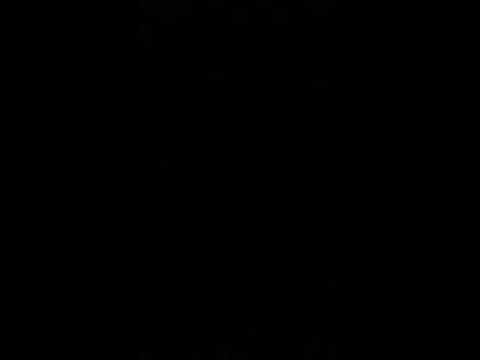 Showing off most of my bop it games