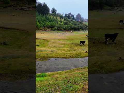 Hermoso rio en Colomi, Cochabamba Bolivia