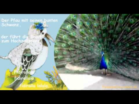 Die Vogelhochzeit