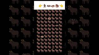 Download lagu find the odd emoji 🤔 mp3
