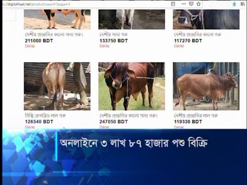 এবার অনলাইনে কোরবানির পশু বিক্রি লক্ষ্যমাত্রা ছাড়িয়েছে | ETV News