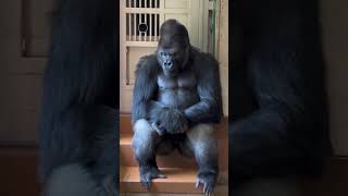 Quando vc já não sabe mais o que fazer.