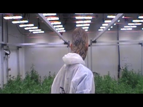 OFF & RAJONE - OCTOBER (PERSONAL VHS VIDEO)