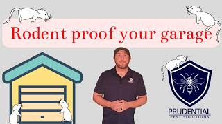 How to Rodent Proof your Garage