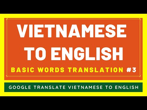 Vietnamese to English Basic Words Translation #3 | Vietnamese to English Translator From Google