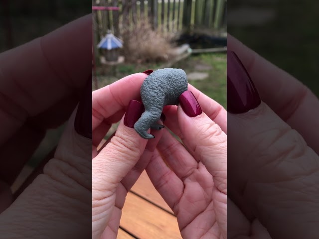 Vídeo relacionado con Schleich-14763 Figura de Cría de Elefante Africano, Colección Wild Life, Color Gris, 6.8 cm (14763)