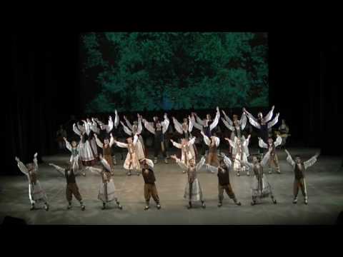 ViNeVa 2017 - Pasodinsim žalią girią - Vaiva, Gabija