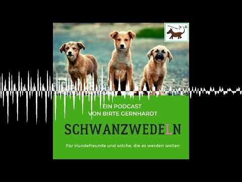 90 Tiere sind keine Weihnachtsgeschenke - Schwanzwedeln