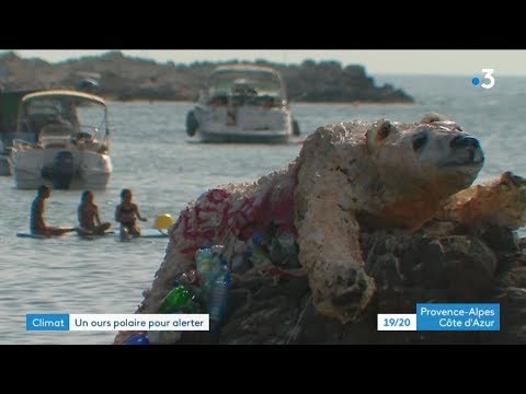 Un ours polaire s'échoue sur une plage d'Antibes