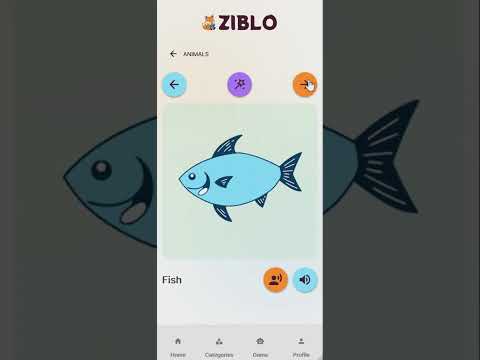 Ziblo