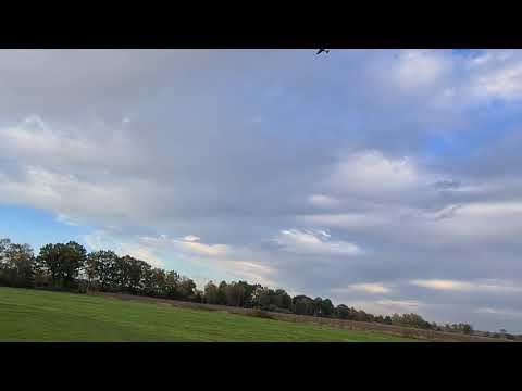 "Engine Failure" Mick Reeves Spitfire