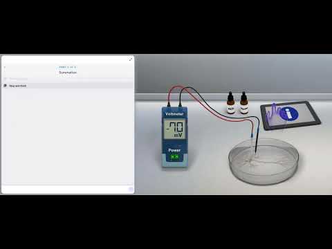 Action Potential Initiation