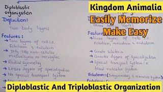Diploblastic And Triploblastic Organization | Kingdom Animalia | Class 11