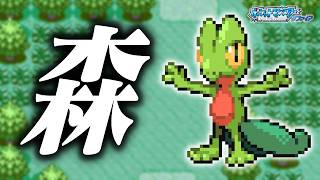 キモリLv.5で冒険始めたらルビサファはキツい？ヌルい？