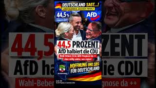 AfD bei 44,5 % – CDU nur bei 18,5 % in Sachsen-Anhalt #AfD #SachsenAnh