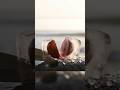 Satisfying Grape Cut Through Ice Block Macro Coastal ASMR Visuals Asmr Grape Ai Shorts