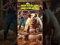 🐷 CERDITO obligado a ENGORDAR necesita AYUDA 🚨 #historias #reflexiones #animales #animación