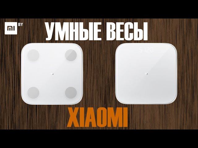 Превью видеоролика