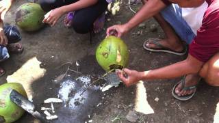 preview picture of video 'Young Coconut - Exploring Authentic Bali'