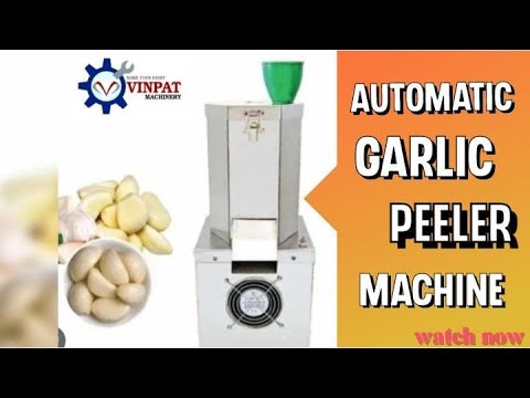 Garlic Peeler machine