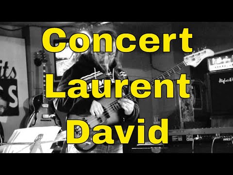 Concert bassiste Laurent David aux Petits Joueurs 07/03/13