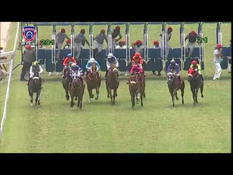 RM29 R1 | Midnight Messenger | N.S.Batchameah