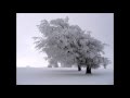 Nico Vitale - Canzone D'Inverno (Winter song ...