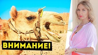 Хургада Египет: Советы и предостережения! Как избежать неприятностей - Отдых в Египте 2018