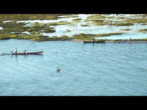 Assista ao vídeo sobre o I Seminário de Pesca Artesanal da Bacia Hidrográfica do Rio São Francisco que aconteceu em Penedo (AL) - CBHSF : CBHSF – Comitê da Bacia Hidrográfica do Rio São Francisco