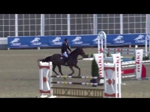 Stall Stecher ANTON 2016-04