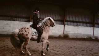 ~ He's bulletproof, nothing to lose ♥