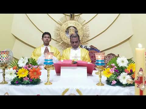 Live Sunday Holy Mass | May 10 | 7.00 am