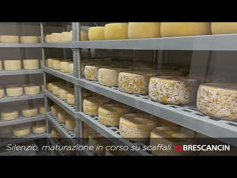 Scaffali per il formaggio