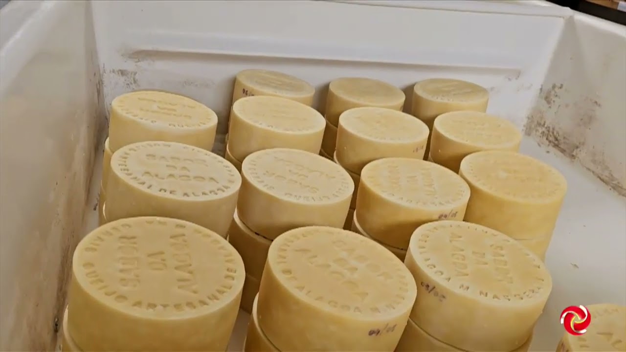 Queijo artesanal produzido em Alagoa ganha premiações importantes