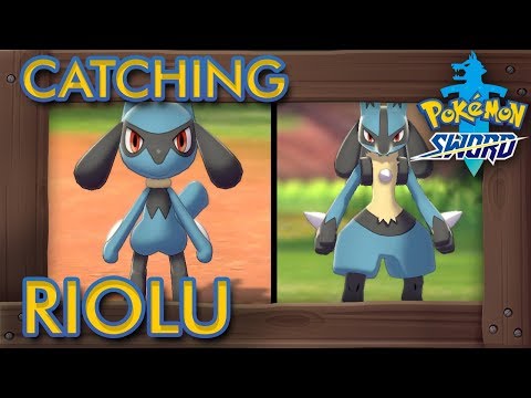 Pokémon Sword & Shield - How to Catch Riolu & Evolve it into Lucario