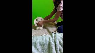 Dancing to Wonderful Christmastime