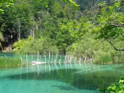 download lagu mp3 mp4 Nous Te Louons Tu Es Dieu, download lagu Nous Te Louons Tu Es Dieu gratis, unduh video klip Nous Te Louons Tu Es Dieu