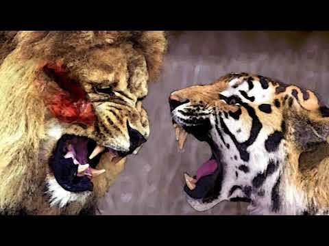 Eroskiller type Motivation instrumental 2018