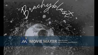 BRACHYBLAST_Poprava masového vraha