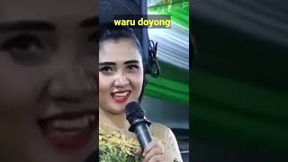 Download lagu waru doyong mp3 Download lagu waru doyong mp3