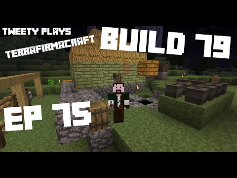 Tweety plays Terrafirmacraft ep 75 - Charcoal