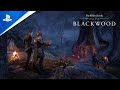 The Elder Scrolls Online - Bounties of Blackwood | PS5, PS4