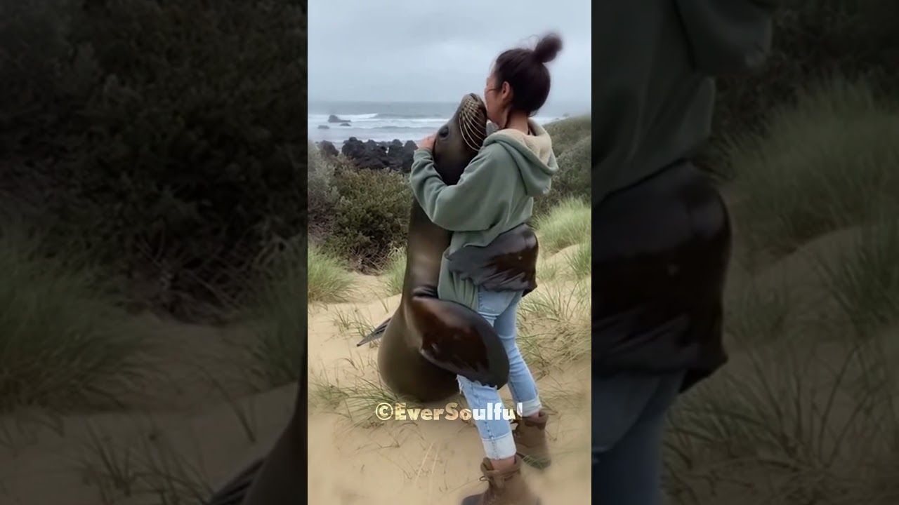 Seal Meets His Human Friend After a Long Time 💖