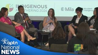Major challenges for the Arctic for accessing AI development opportunities | APTN News